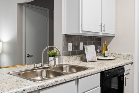 Model Kitchen at Chace Lake